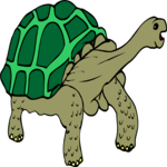 Tortoise 2