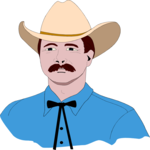 Cowboy 32