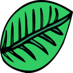 Leaf 096