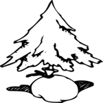 Tree 17