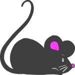 Mouse 05