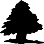 Tree 071