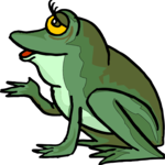 Frog 26