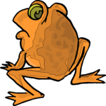 Frog - Rear