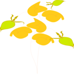 Leaves 25