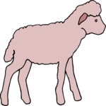 Lamb 8