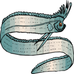 Oarfish 2