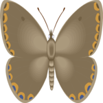 Butterfly 102