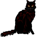 Cat 17