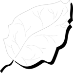 Leaf 055
