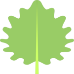 Leaf 006