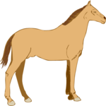 Horse 27