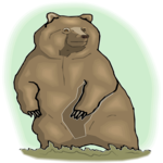 Bear 27