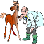 Veterinarian 4