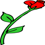 Rose 78