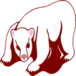 Bear 10