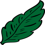 Leaf 090