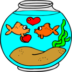 Goldfish in Love