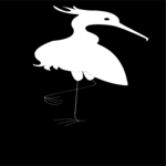 Bird 002