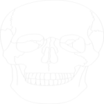 Skull 02