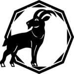 Capricorn 12