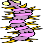 Bug 005