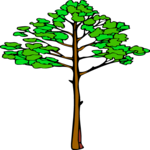 Tree 142