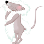 Rat with Feather Boa