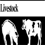 Livestock