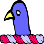 Coot - Head