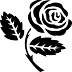 Rose 34