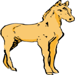 Horse - Foal