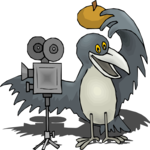 Director - Bird