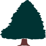 Tree 036