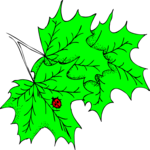Leaves 89