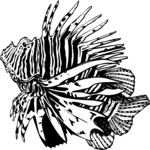 Lionfish 3