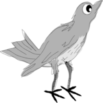 Bird - Scared 1