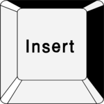 Key Insert