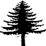 Tree 012