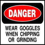 Wear Goggles 2
