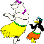 Bear & Penguin in Hawaii