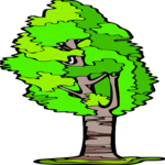 Tree 144