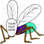 Body - Bee