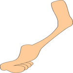 Leg 03