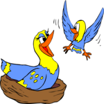 Bird Family 2