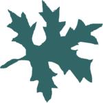 Leaf 109