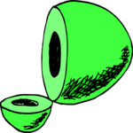 Avocado 11