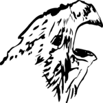 Bird 02