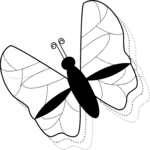 Butterfly 22