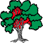 Tree 073